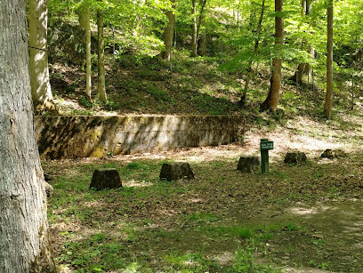 Kanawha State Forest